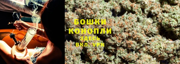 сатива Михайловка