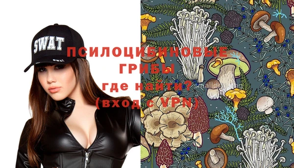 сатива Михайловка