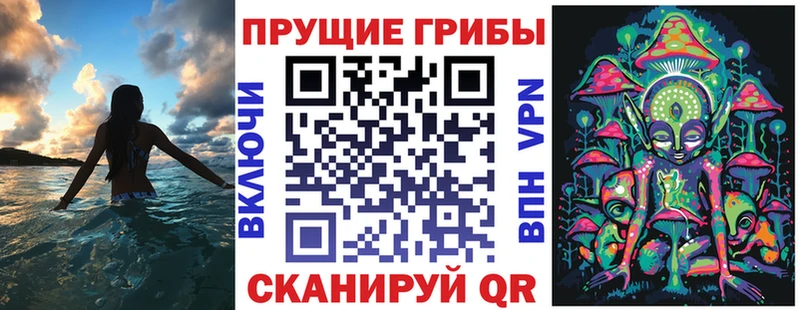 Псилоцибиновые грибы прущие грибы  Купить где  Томари 