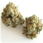 Шишки "White Widow"  (Белая вдова)  Гидропоника -  Бошка VHQ в Томари